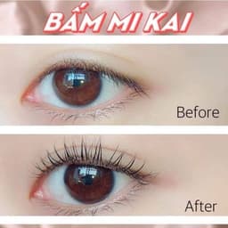 Bấm Mi Kai Compact Eyelash Curler