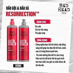 Set gội xả Tigi Bed Head