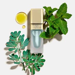 Son dưỡng Dolce & Gabbana Mint Oil Lip Plumper